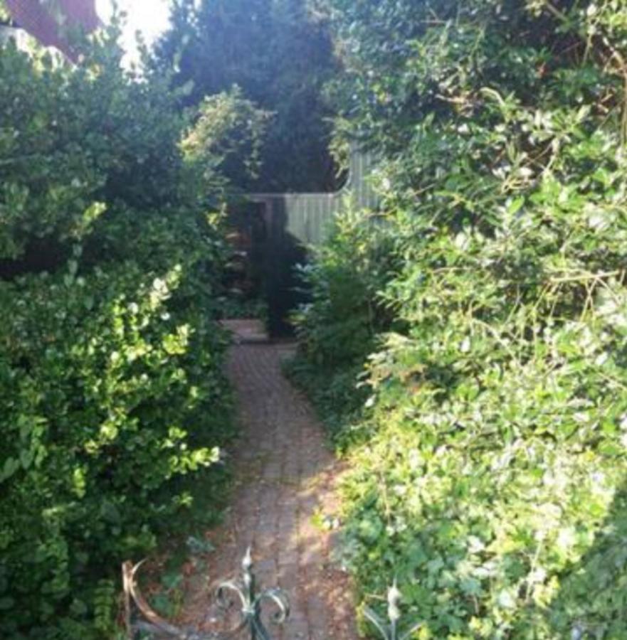 Bed And Breakfast Cherry Zaandam Bagian luar foto