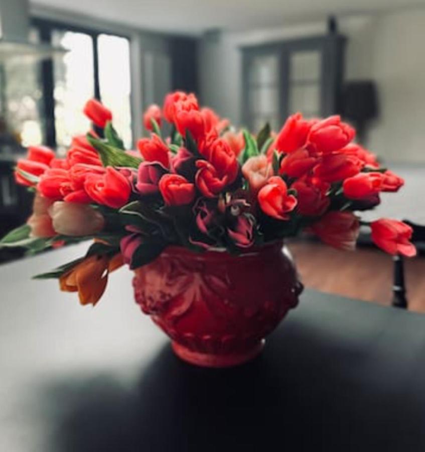 Bed And Breakfast Cherry Zaandam Bagian luar foto